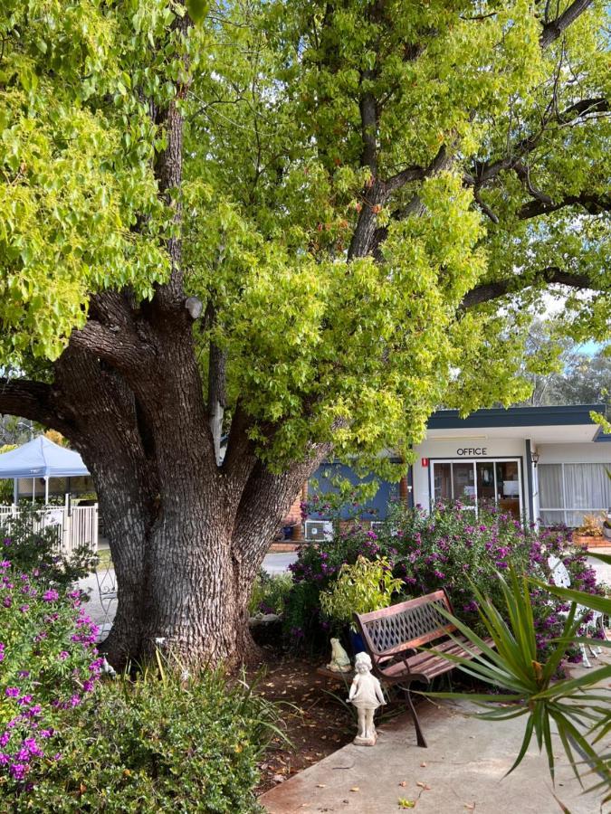 Sturt Motel Balranald Kültér fotó